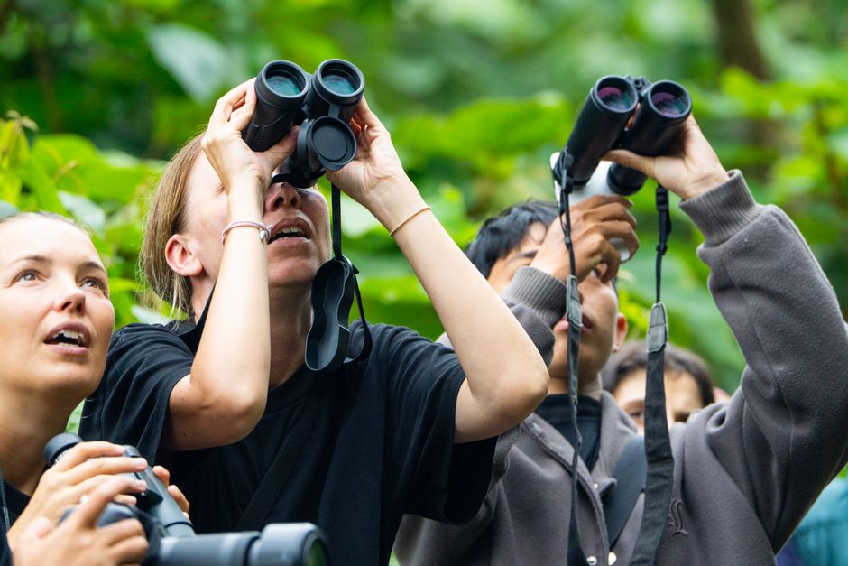 Group of birdwatchers using binoculars in a vibrant green forest setting.